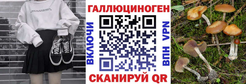 Галлюциногенные грибы Psilocybe  дарнет шоп  Аша 