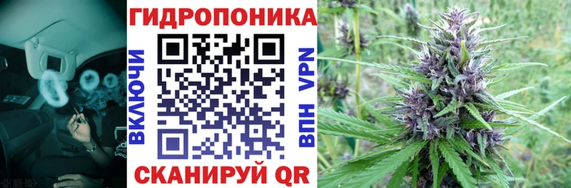 Конопля план мега ссылки Аша